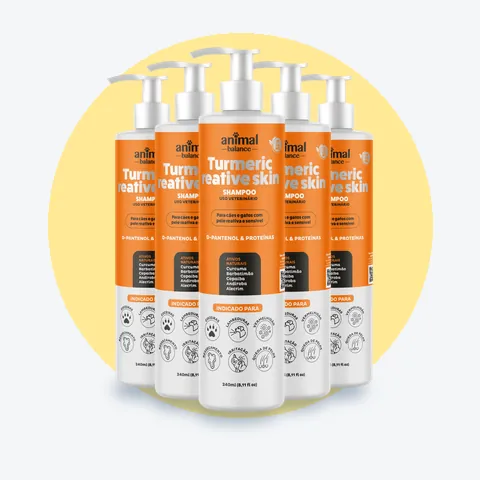 Shampoo Cúrcuma · 5 frascos de 240 ml (1,2 L): 5 unidades