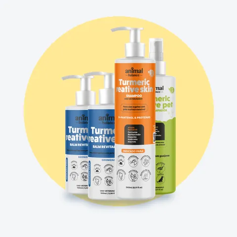 2 Balms Reestruturante + 1 Shampoo Curcuma + 1 Spray Limpador a Seco: 4 unidades