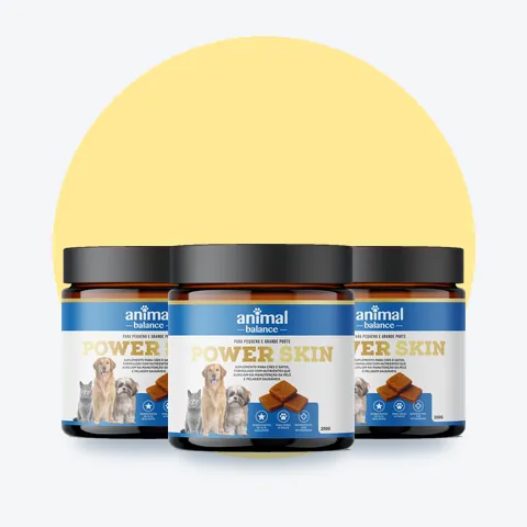 3 Power Skin - Pelo & Derme - Suplemento em Flexbites Palatáveis - 250g: 3 unidades