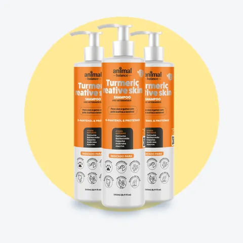3 Shampoo de Curcuma: 3 unidades