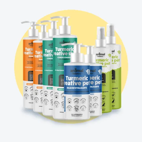 Kit Mega Conforto Promocional - 2 Shampoo Curcuma Reative + 2 Condicionador Reative + 2 Balm Reestruturante Hidratante + 2 Spray Limpador a Seco: 8 unidades