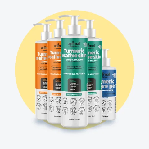 Kit Obrigatorio Cúrcuma - 2 Shampoo + 2 Condicionadores + 1 Balm: 5 unidades