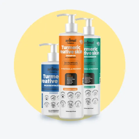 Kit Reparação Cúrcuma - 1 Balm + 1 Shampoo + 1 Condicionador: 3 unidades