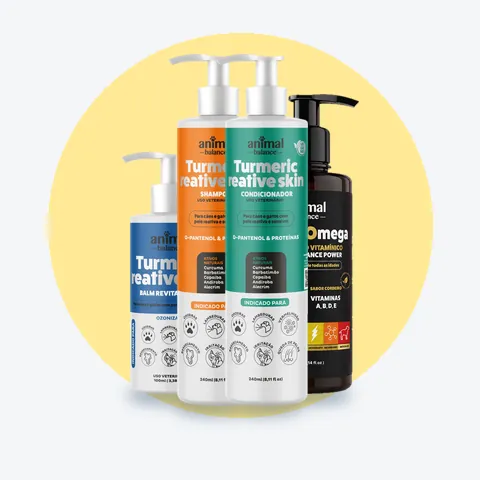 Kit Cuidado Intensivo - 1 Balm + 1 Shampoo + 1 Condicionador + 1 Power Ômega: 4 unidades