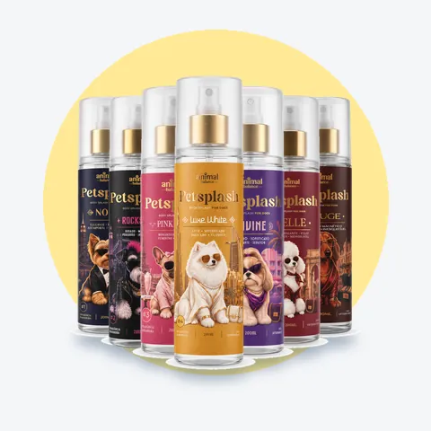Petsplash® Coleção Volta ao Mundo: 7 unidades