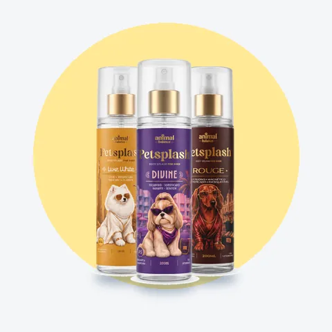 Petsplash® Trio Primeira Classe: 3 unidades